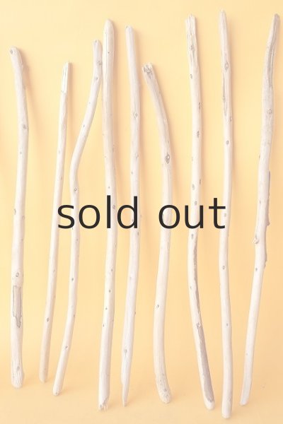 画像3: 棒流木セット (3)