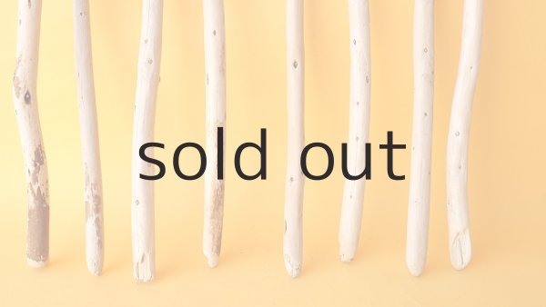 画像2: 棒流木セット (2)