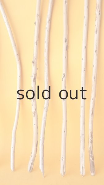 画像6: 棒流木セット (6)