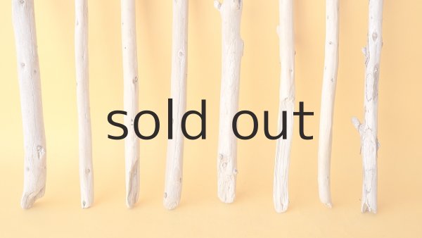 画像2: 棒流木セット (2)