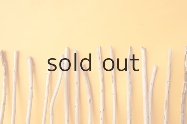 画像6: 棒流木セット (6)