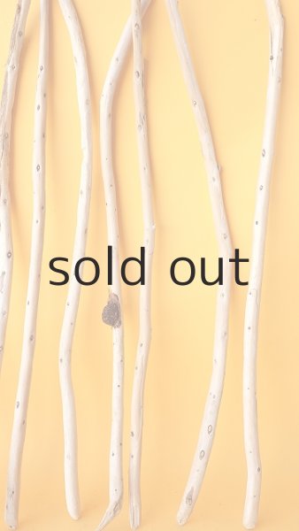 画像6: 棒流木セット (6)