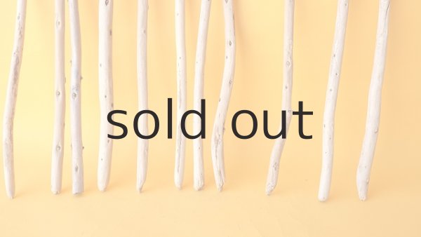 画像2: 棒流木セット (2)