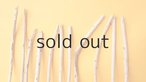 画像3: 棒流木セット (3)