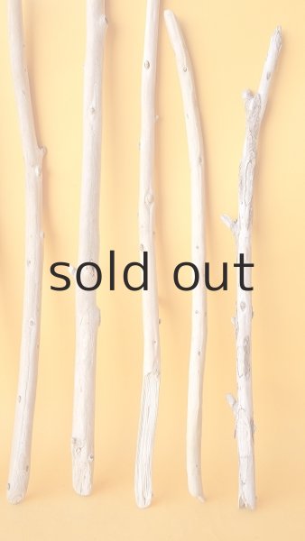 画像5: 棒流木セット (5)