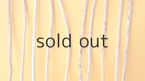 画像3: 棒流木セット (3)