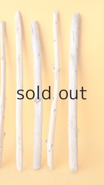 画像6: 棒流木セット (6)