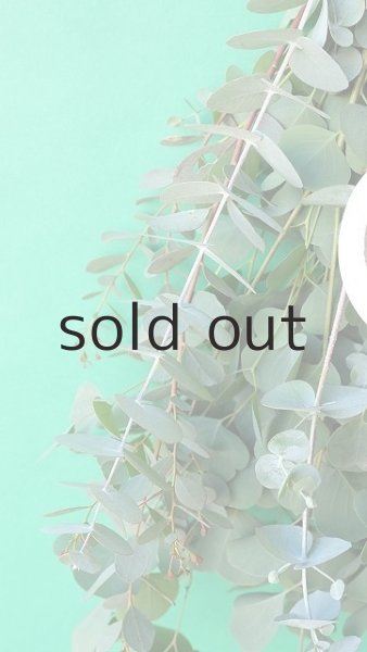 画像3: Dry plants for decor ユーカリ3種シンプルスワッグ (3)