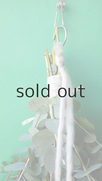 画像2: Dry plants for decor ユーカリ3種シンプルスワッグ (2)