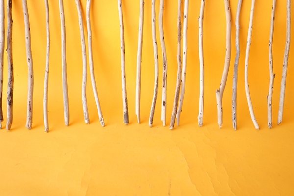 画像5: 棒流木セット (5)