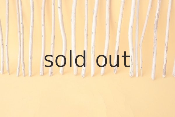 画像5: 棒流木セット (5)