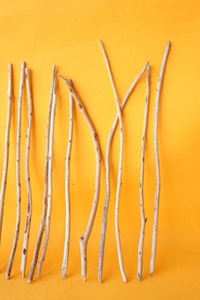 画像4: 棒流木セット (4)