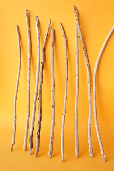 画像2: 棒流木セット (2)