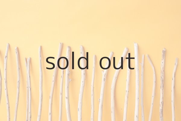 画像6: 棒流木セット (6)