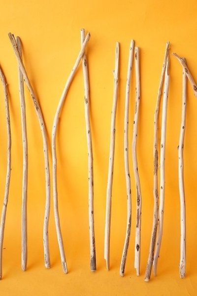 画像3: 棒流木セット (3)