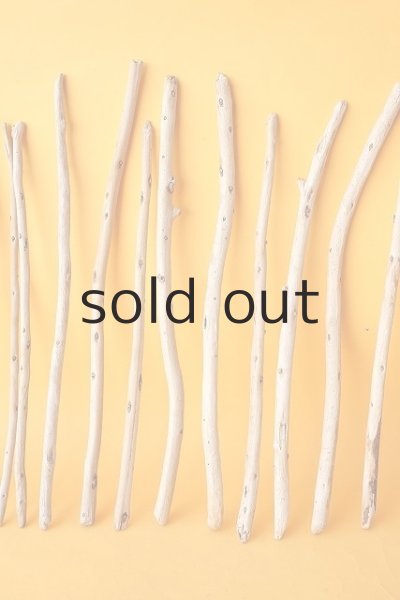 画像3: 棒流木セット (3)