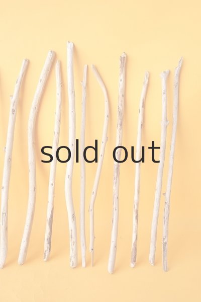 画像4: 棒流木セット (4)