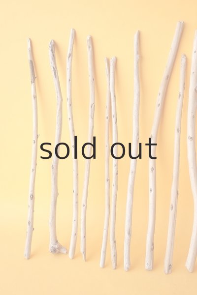 画像2: 棒流木セット (2)