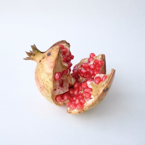 画像3: オリジナルメモブック 「 zakuro 」5冊セット (3)