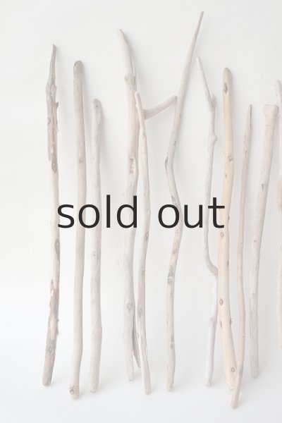 画像2: 棒流木セット (2)