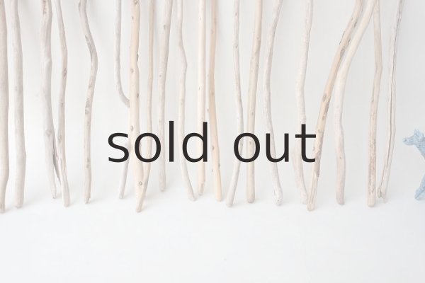 画像5: 棒流木セット (5)