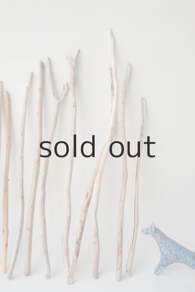 画像4: 棒流木セット (4)