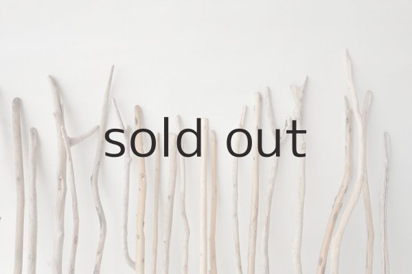 画像6: 棒流木セット (6)