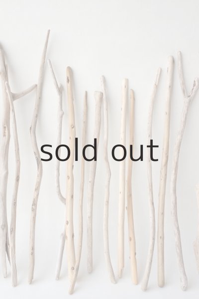 画像3: 棒流木セット (3)