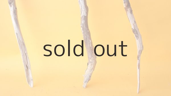 画像2: 枝流木セット (2)