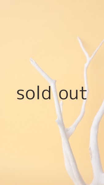 画像4: 流木根 (4)