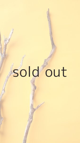 画像5: 枝流木セット (5)