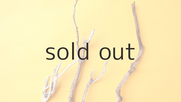 画像4: 枝流木セット (4)