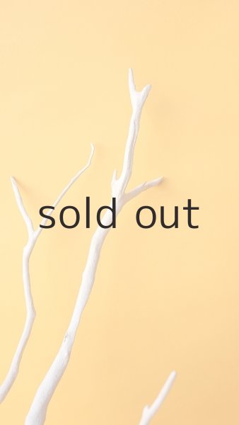 画像3: 流木根 (3)