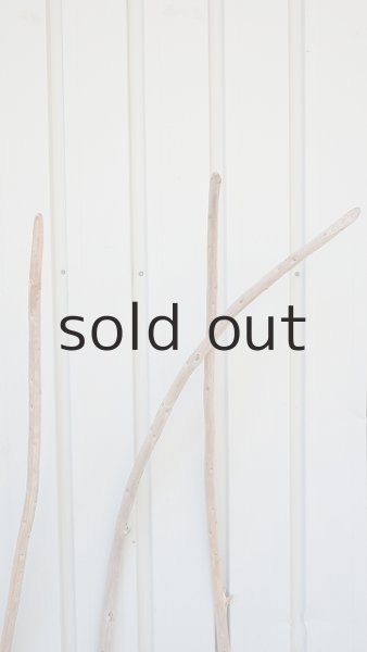 画像4: 棒流木3本セット (4)