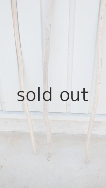 画像3: 棒流木3本セット (3)