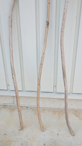 画像2: 棒流木3本セット (2)