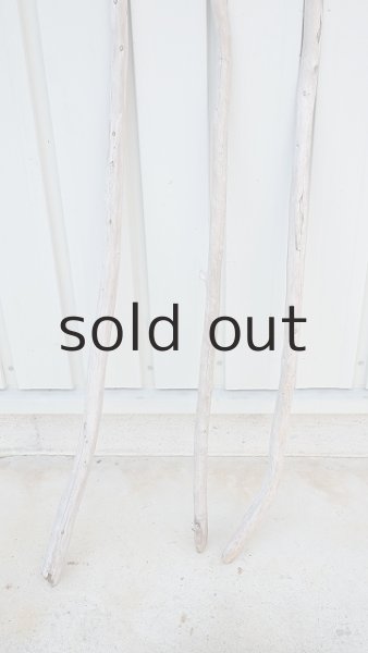 画像2: 棒流木3本セット (2)