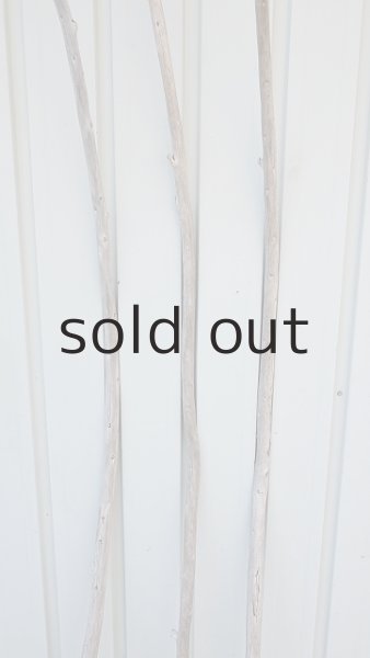 画像3: 棒流木3本セット (3)