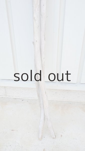 画像5: 棒流木3本セット (5)