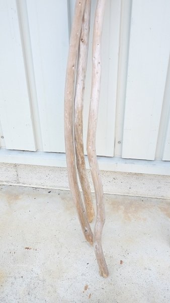 画像5: 棒流木3本セット (5)