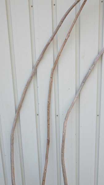 画像3: 棒流木3本セット (3)