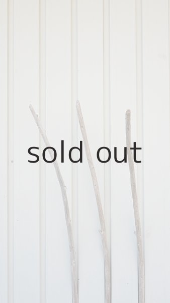 画像4: 棒流木3本セット (4)