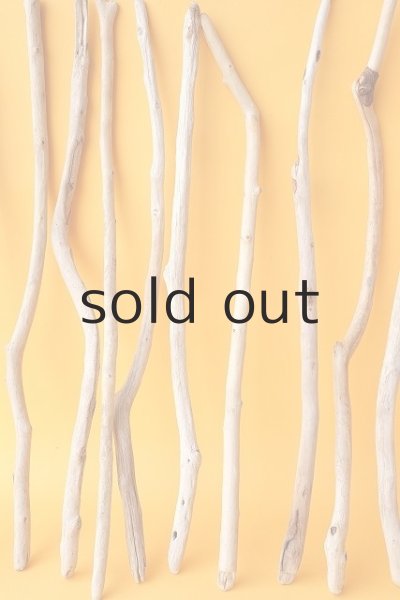 画像5: 小枝流木セット (5)