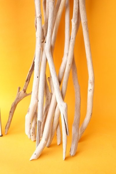 画像1: 小枝流木セット