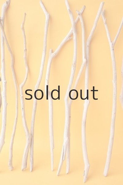 画像5: 小枝流木セット (5)