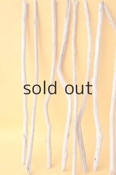 画像4: 小枝流木セット (4)