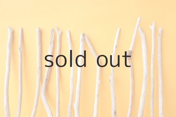 画像3: 小枝流木セット (3)