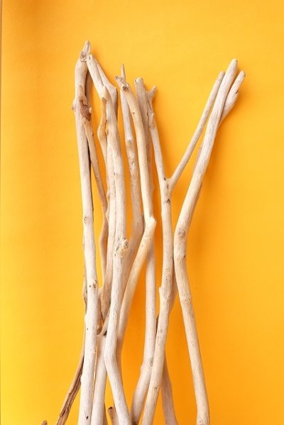 画像2: 小枝流木セット