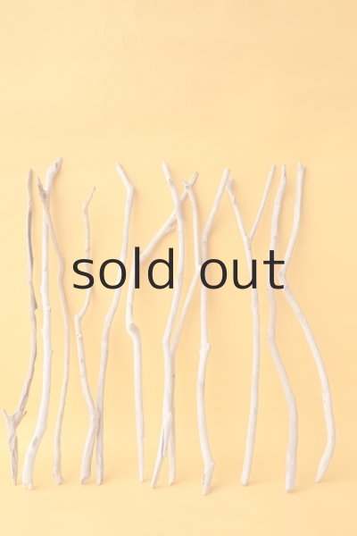 画像1: 小枝流木セット (1)