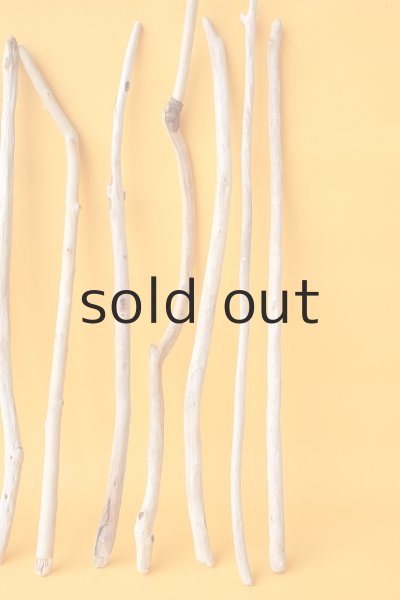 画像6: 小枝流木セット (6)